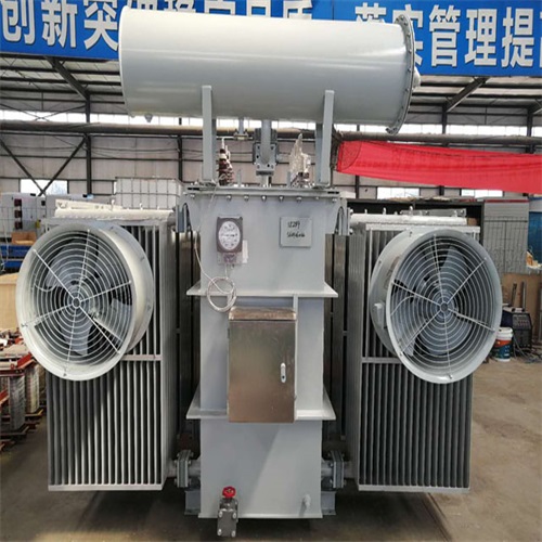 嵊泗S20-8000KVA变压器